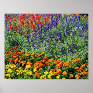 Blomsterträdgård Digital Art-målning Poster