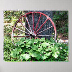 Blomsterträdgård för gamla vagnar Wheel Trillium Poster