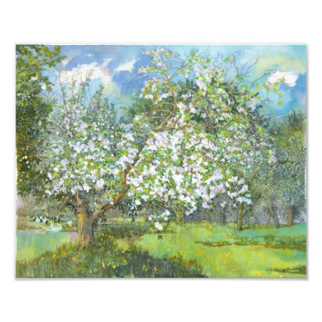 Blomsterträdgård Fototryck (Framsidan)