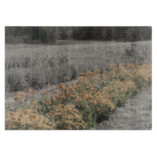 Blomsterträdgård i svartvitt