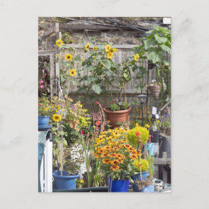 Blomsterträdgård och smal båt vykort
