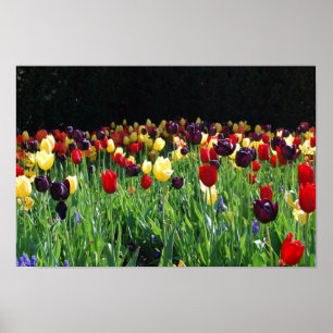 Blomsterträdgård Poster