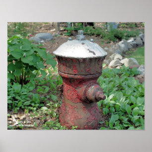 Blomsterträdgård Rusty Fire Hydrant Poster