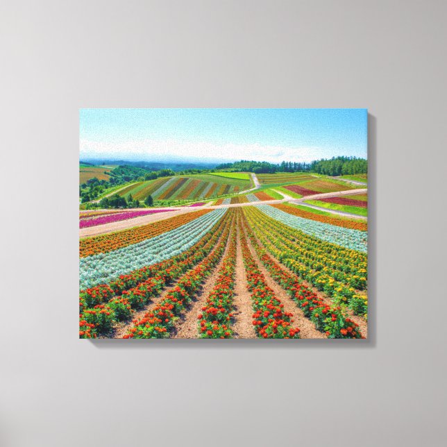 Blomsterträdgård | Shikisai No Oka Flower Farm Canvastryck (Framsida)