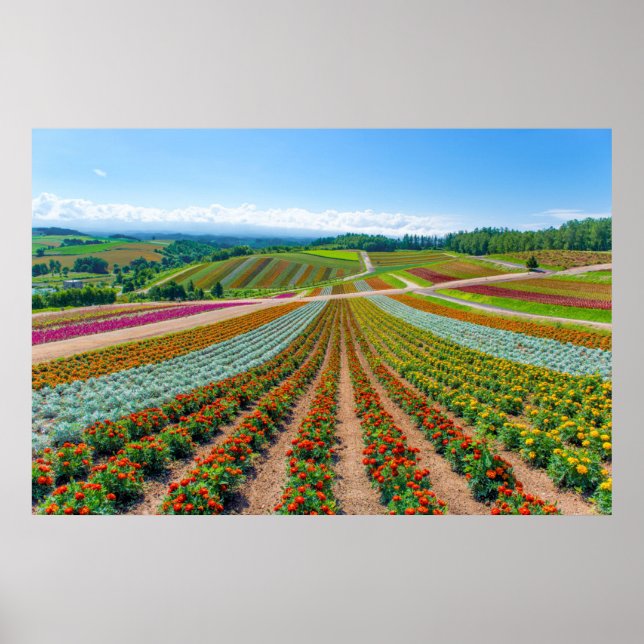 Blomsterträdgård | Shikisai No Oka Flower Farm Poster (Framsidan)