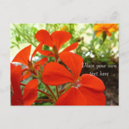 blomsterträdgård vykort