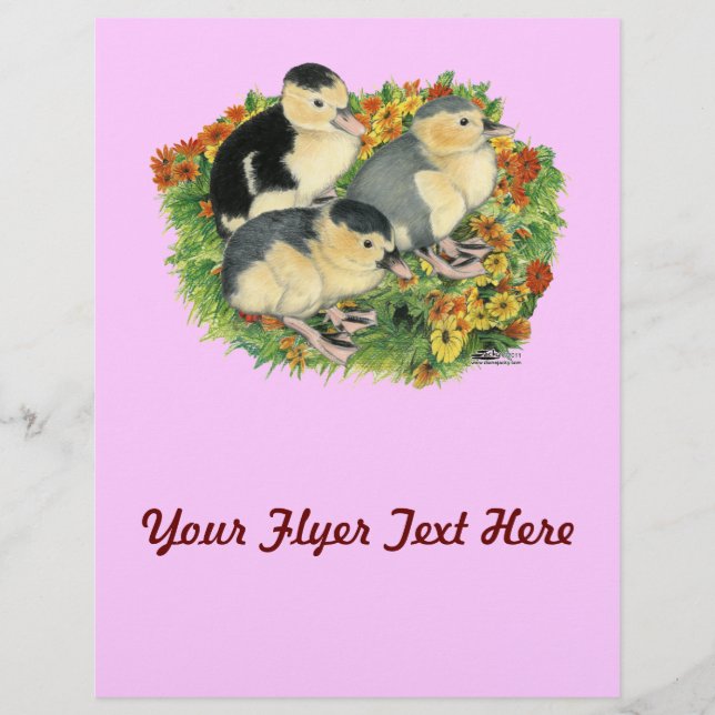 Blomsterträdgårdar Reklamblad (Framsidan)