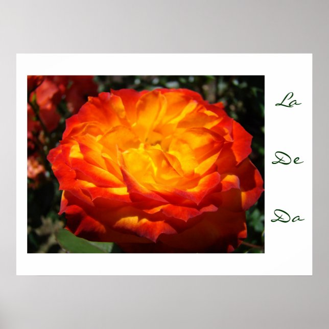 Blomsterträdgården Ro skrivs ut Poster (Framsidan)