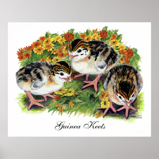 Blomsterträdgårdskycklingar Poster (Framsidan)