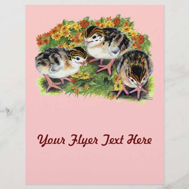Blomsterträdgårdskycklingar Reklamblad (Framsidan)