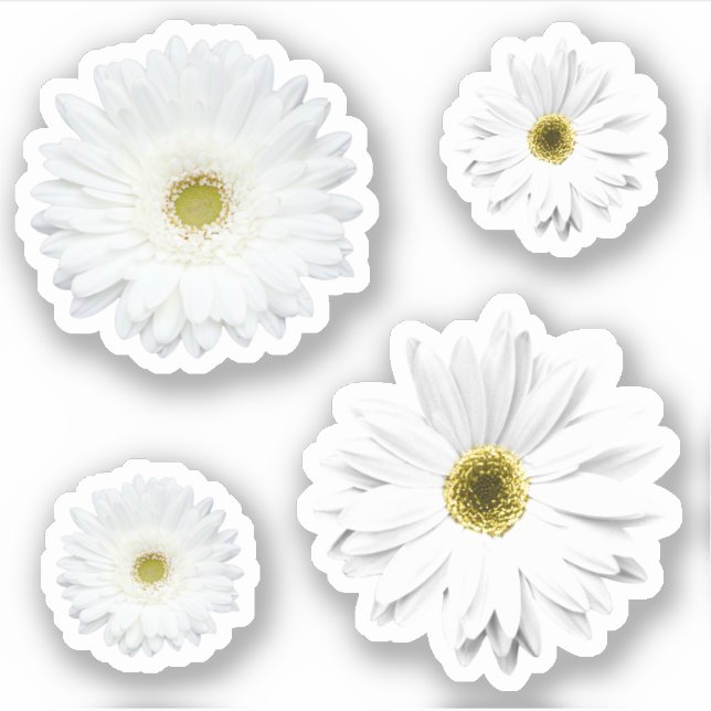 Blomsteruppsättning för vit Daisy Klistermärken (Framsida)