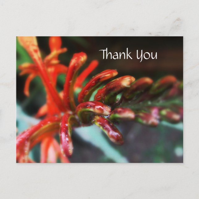 Blomstervykort Vykort (Framsida)