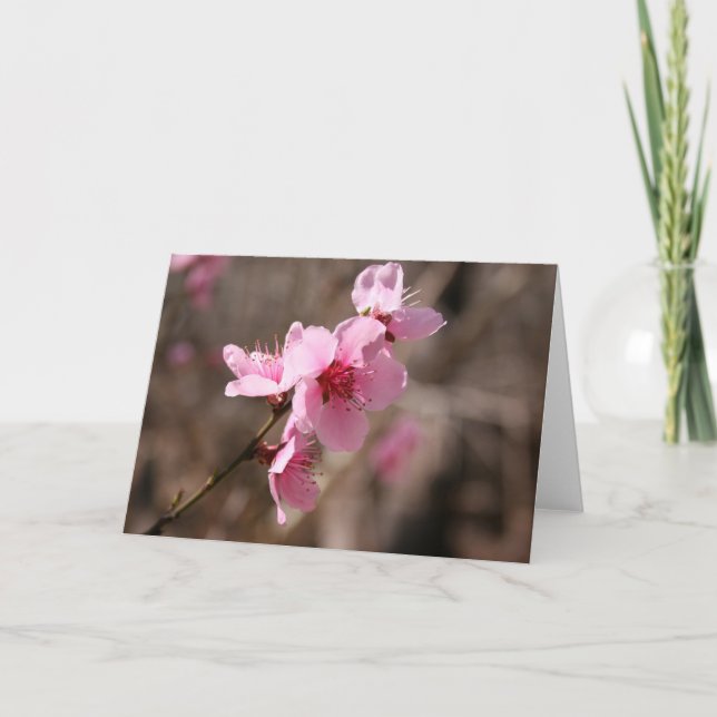 Blomstra azaleaen tack kort (Framsida)