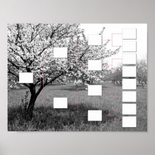 Blomstra stamträd: Väggen för 4 generation Poster