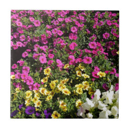 Blomträdgård Kakelplatta