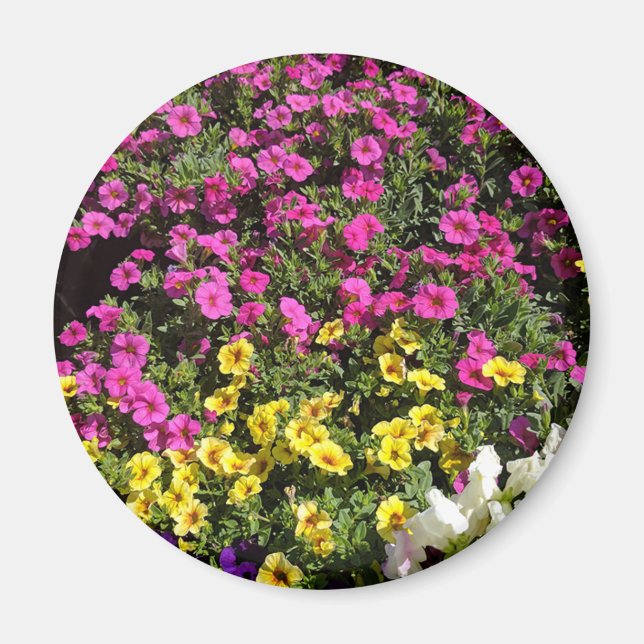 Blomträdgård Magnet (Framsidan)