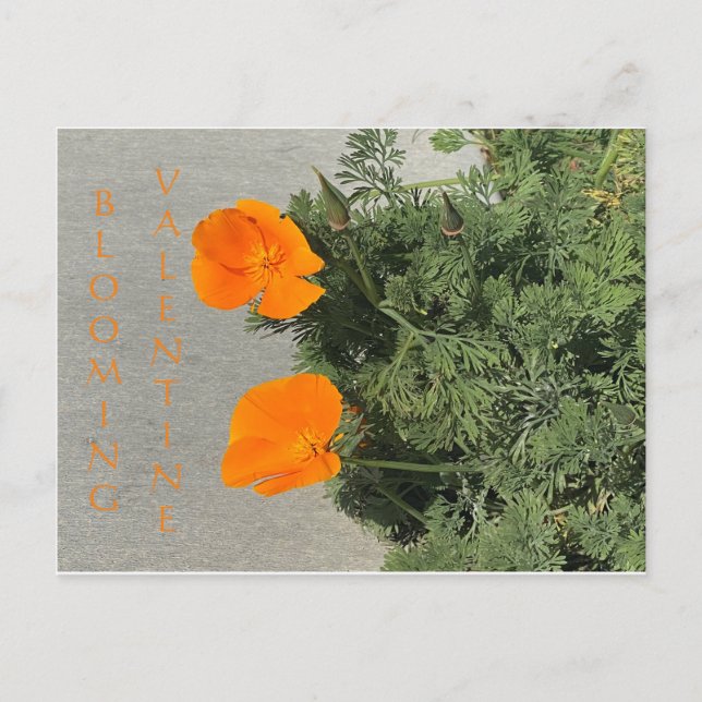 BLOMVÄRDENTINE VYKORT (Framsida)