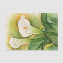 Blomvit Cala Lily Dekoupage Akvarell