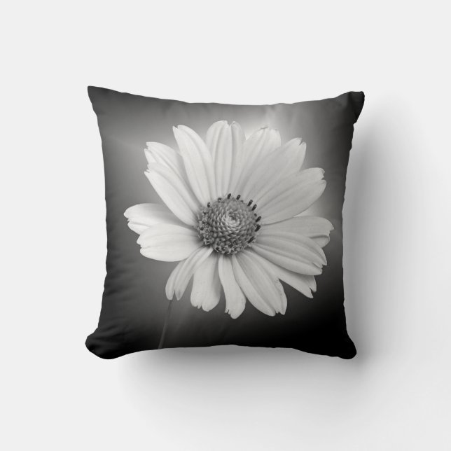 Blomvit daisy på svart kudde (Framsida)