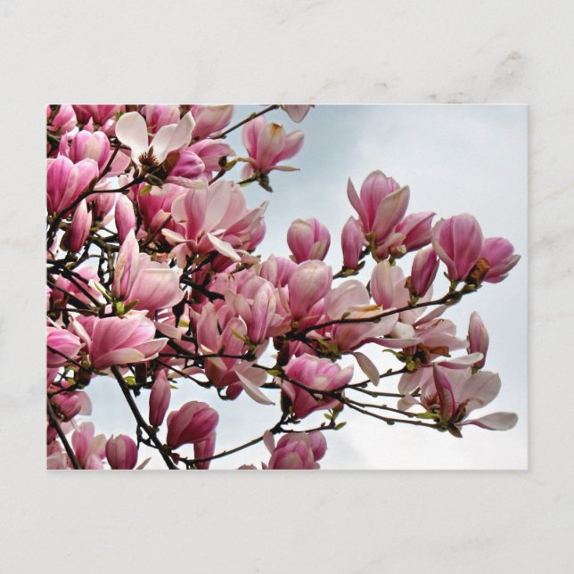 Blomvykort 79 vykort (Framsida)