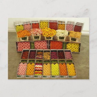 Blomvykort 86 vykort