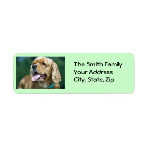 Blond cockerspanielSpanieletikett Returadress Etikett