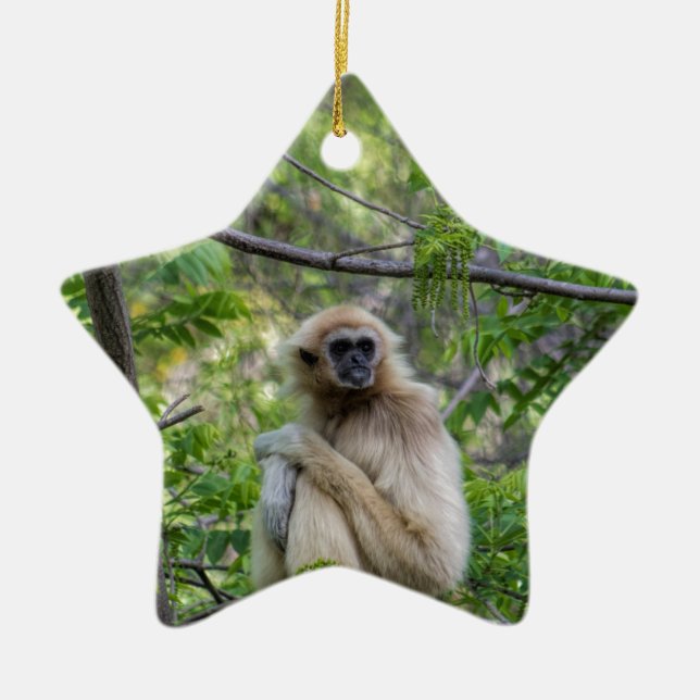 Blond Gibbonapa - Hylobateslar Julgransprydnad Keramik (Framsidan)