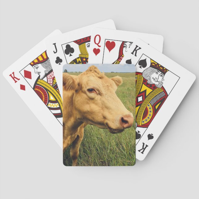 Blond ko casinokort (Baksidan)