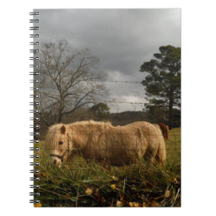 Blond Miniature Pony / Horse Anteckningsbok Med Spiral