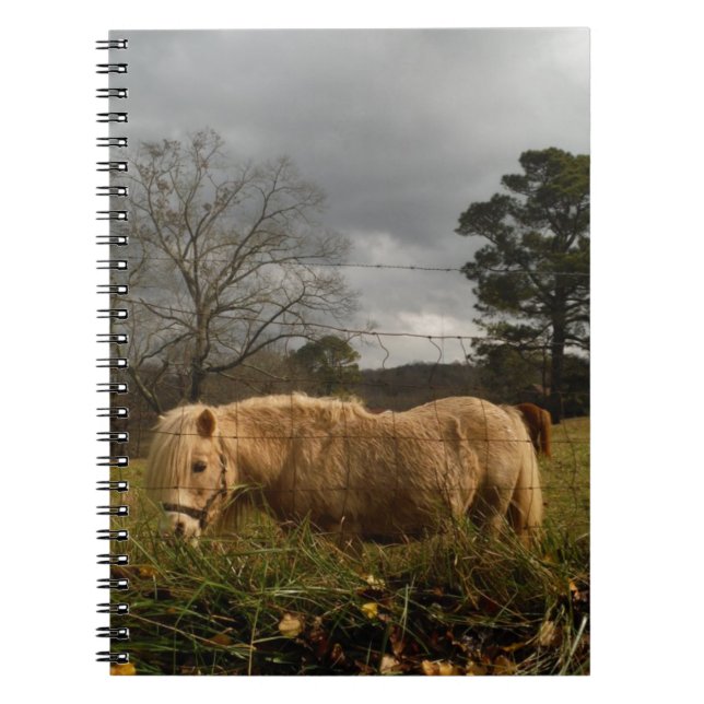 Blond Miniature Pony / Horse Anteckningsbok Med Spiral (Framsidan)
