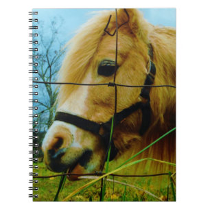 Blond Miniature Pony / Horse Blå himmel Anteckningsbok