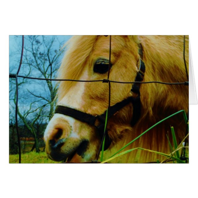 Blond Miniature Pony / Horse Blå himmel Hälsningskort (Framsidan Horizontal)
