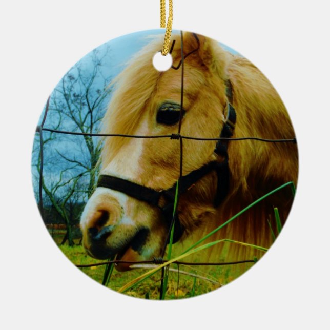 Blond Miniature Pony / Horse Blå himmel Julgransprydnad Keramik (Framsidan)