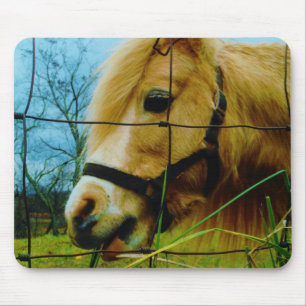 Blond Miniature Pony / Horse Blå himmel Musmatta
