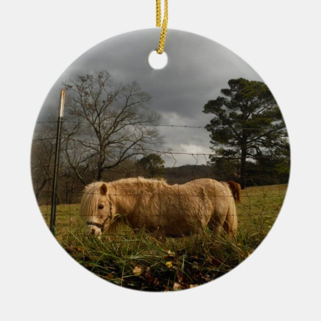 Blond Miniature Pony / Horse Julgransprydnad Keramik (Framsidan)