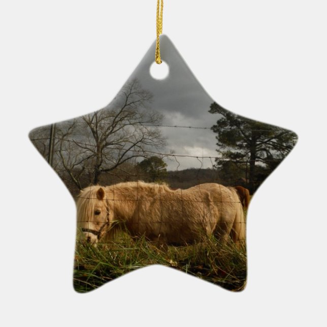 Blond Miniature Pony / Horse Julgransprydnad Keramik (Framsidan)