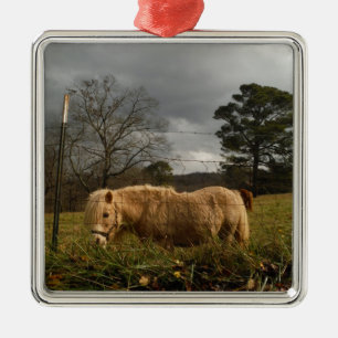 Blond Miniature Pony / Horse Julgransprydnad Metall