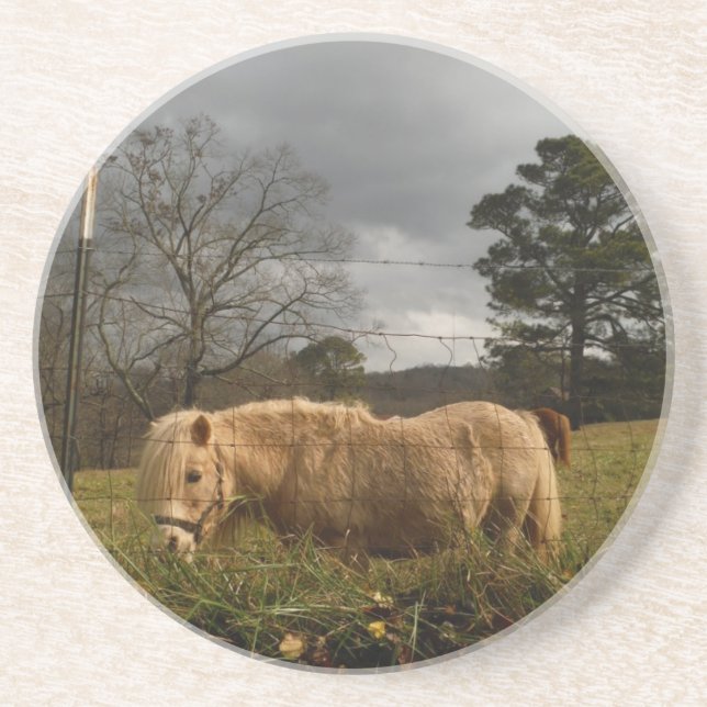 Blond Miniature Pony / Horse Underlägg Sandsten (Framsidan)