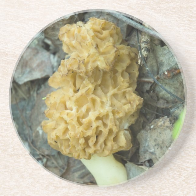 Blond Morel Mushroom Underlägg (Framsidan)