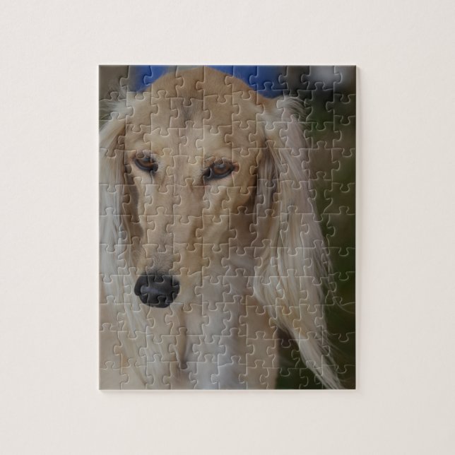 Blond Saluki hund Pussel (Vertikal)