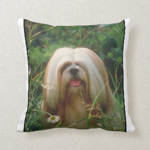 Blonda Lhasa Apso kudder Kudde