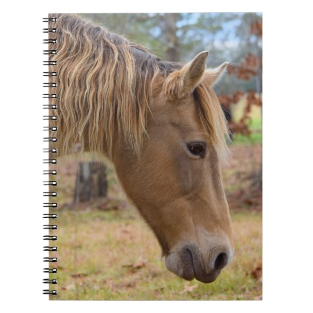 Blonde Beauty Horse Notebook Anteckningsbok (Framsidan)