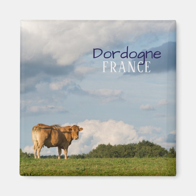 Blonde d'Aquitaine ko i Dordogne-området, Frankrik Magnet (Framsidan)