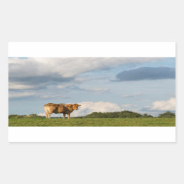 Blonde d'Aquitaine ko i Dordogne-området, Frankrik Rektangulärt Klistermärke