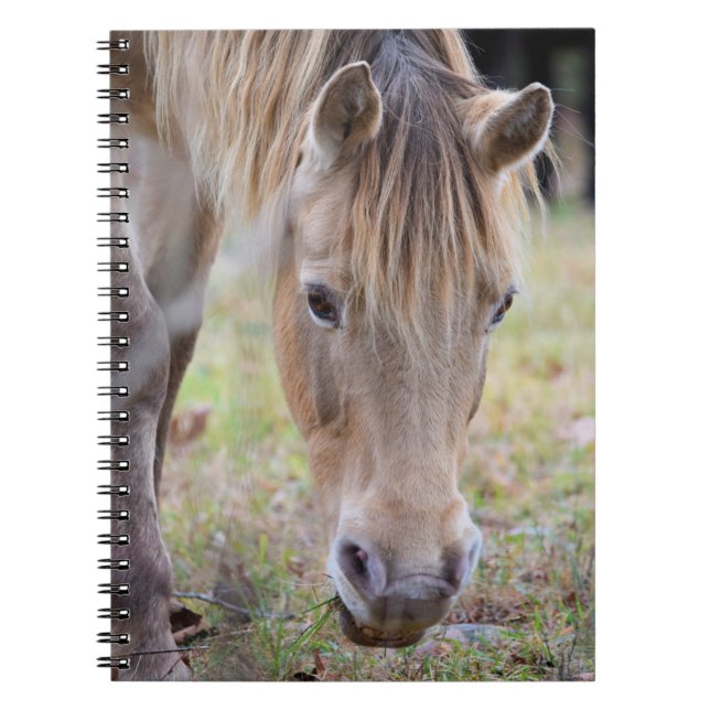 Blonde Horse Notebook Anteckningsbok (Framsidan)