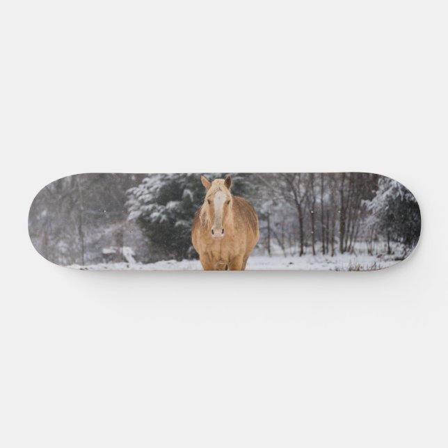 Blonde Horse Walk i Skateboard Snö (Horz)
