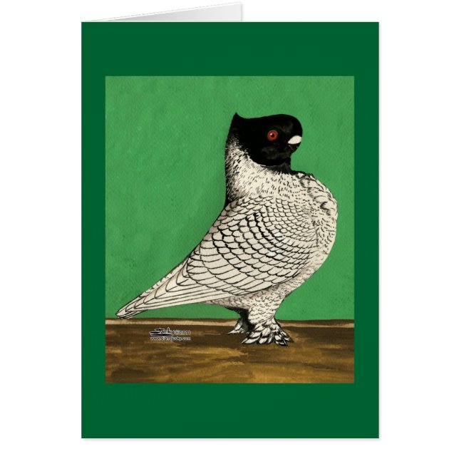 Blondinette Frill Pigeon OBS Kort (Framsidan)