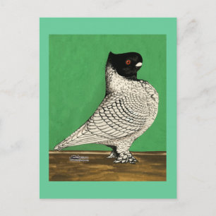 Blondinette Frill Pigeon Vykort