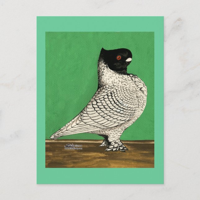 Blondinette Frill Pigeon Vykort (Framsida)