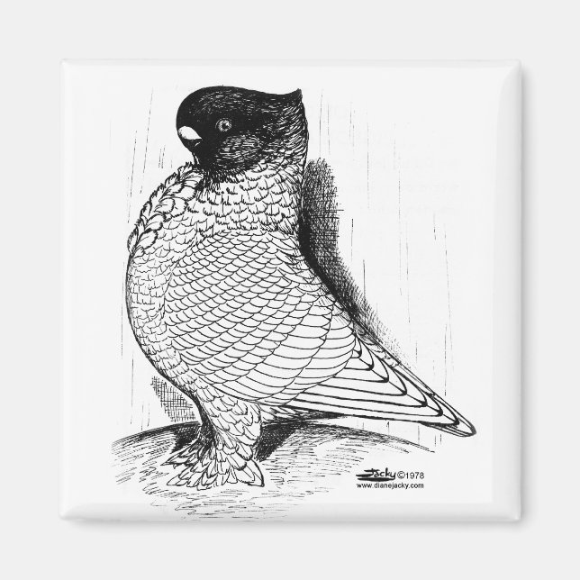 Blondinette Pigeon Laced 1978 Magnet (Framsidan)